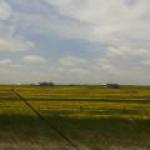 Landschaft in Nebraska
