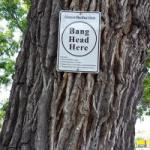 Anleitung zur Stessbewältigung am Devil's Tower