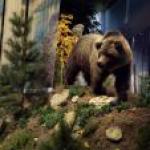 Buffalo Bill Center of the West