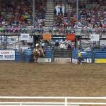 Rodeo in Cody