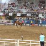 Rodeo in Cody