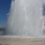 Great Fountain Geyser - Firehole Basin Tour
