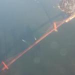 Bye Bye San Francisco