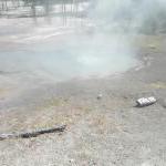 Firehole Basin Tour