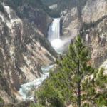 Grand Canyon of the Yellowstone