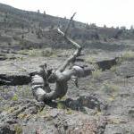 Vulkanlandschaft Craters of the Moon